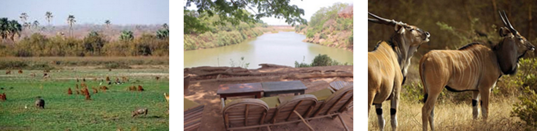 capture-decran-2025-10-09-a-16.17.41